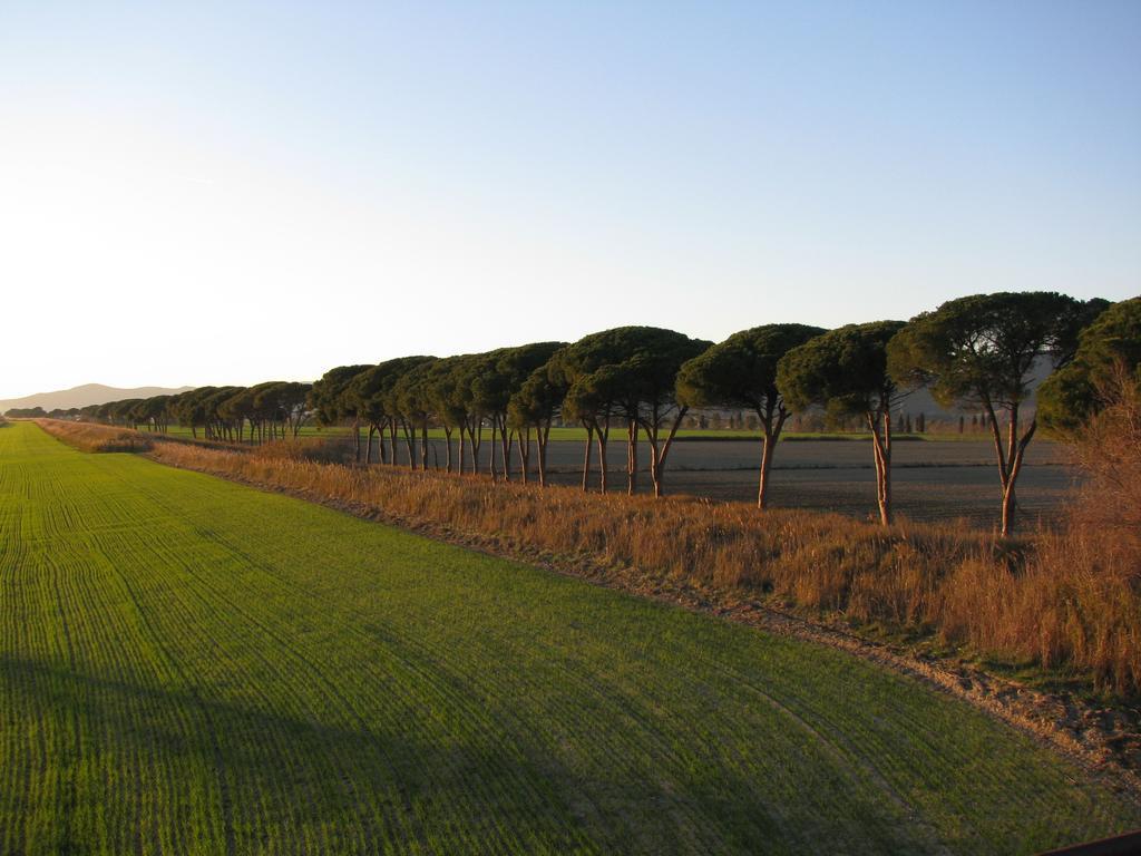 Appartamenti Il Granaio Marina di Grosseto Extérieur photo