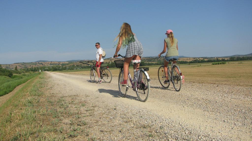 Appartamenti Il Granaio Marina di Grosseto Extérieur photo